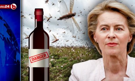 Il Parlamento europeo non salva il vino: impone il "consumo moderato e responsabile" e si prepara a tassarlo