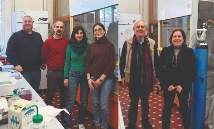 Tumore al seno, pubblicato studio ricercatori dell&rsquo;Universit&agrave; di Palermo