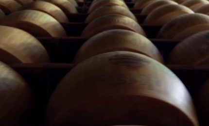 Parmigiano Reggiano, i consumatori premiano anche il 40 Mesi