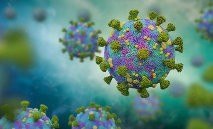 La guerra infuria, l'Europa non esiste e il Covid &egrave; sparito: miracolo!