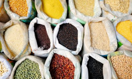 La Coldiretti: contratti di filiera per grano e mais. Proposta sbagliata che penalizzerebbe gli agricoltori per favorire gli industriali
