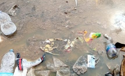 Elezioni comunali a Palermo con il ritorno della merda in Piazza della Pace