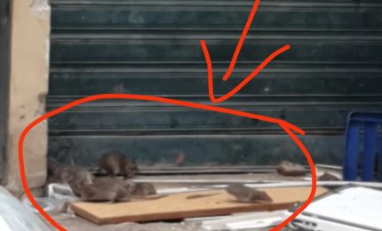 Palermo al voto per le elezioni comunali tra munnizza e surci