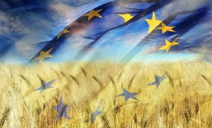 La Ue cambia linea politica in agricoltura e pensa ad aumentare le superfici a grano e alla sovranit&agrave; alimentare. E Marocco, Egitto e Brasile...