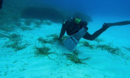 Tutela dei mari, prende il via da Palermo il progetto "Save the wave"