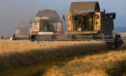 La guerra non ha intaccato la produzione di grano in Russia, mentre l'Ucraina ha perso buona parte della produzione