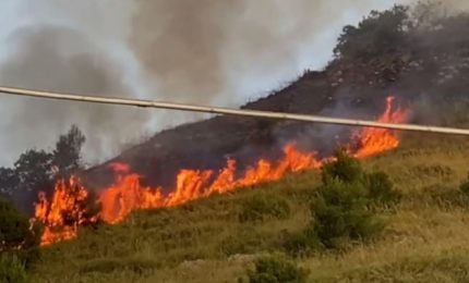 Prevenzione incendi nei boschi in Sicilia: il Governo Musumeci fa qualcosa ma è poco. E se in Estate si arriverà a 50 gradi?