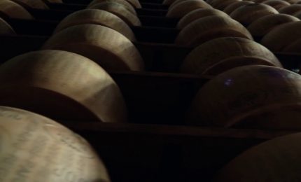 Torna 'Identit&agrave; di Formaggio', Parmigiano Reggiano protagonista