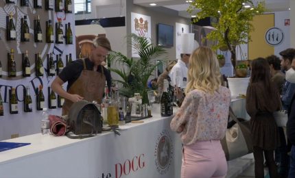Il Vinitaly torna in presenza con 4400 aziende da 19 Paesi