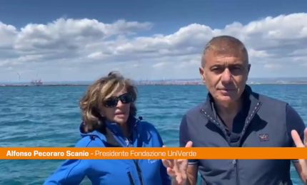 Pecoraro Scanio "A Taranto i delfini meraviglia della natura"