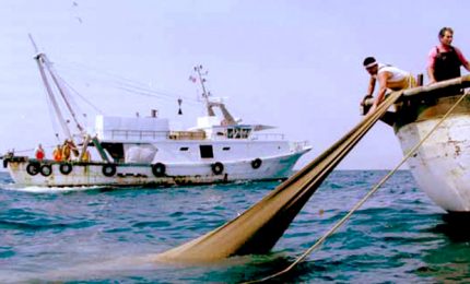 La denuncia della Federazione Armatori della Pesca: "Fondi FLAG spartizione di una torta". Esposto alla Magistratura