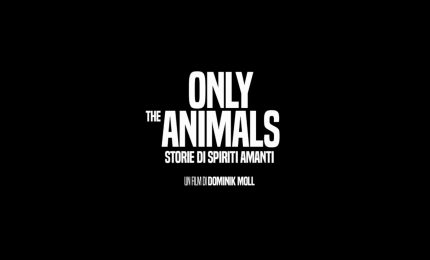 Only the Animals - Storie di spiriti amanti, il trailer