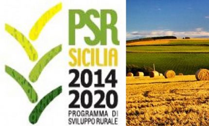 Miglioramento fondiario con le Misure PSR: centinaia di aziende in difficolt&agrave; per l'aumento dei prezzi dei materiali