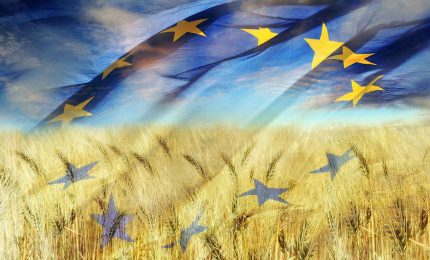 La Commissione europea ha approvato aiuti pari a un miliardo e 200 milioni di euro per agricoltura, silvicoltura, pesca e acquacoltura