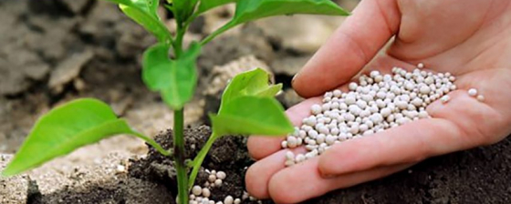 L'ONU: impedire alla Russia con le sanzioni di esportare fertilizzanti danneggia tanti Paesi del mondo/ MATTINALE 657