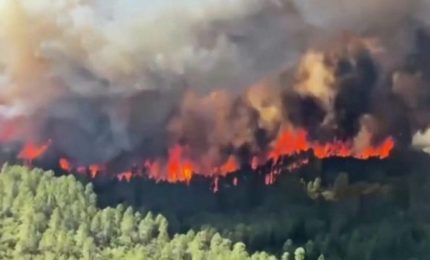 I grandi interessi che si nascondono dietro gli incendi dei boschi siciliani e il 'mistero' dei piromani