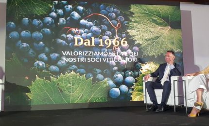 Vino, Caviro punta sulla sostenibilit&agrave;