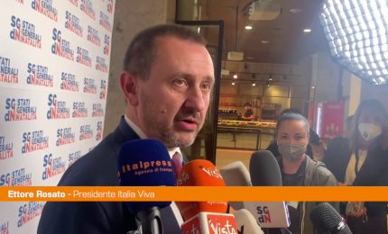 Rosato "Il Family Act cambier&agrave; il Paese"