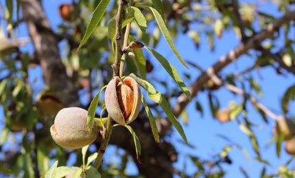 Al FronteMare di Avola per riprendere insieme il grande gioco chiamato VIVERE