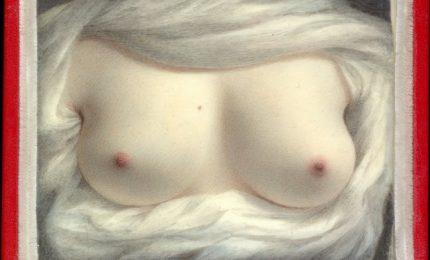 I seni dell'abilissima miniaturista spediti al potente senatore americano che...