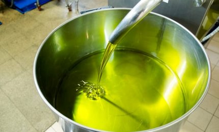 Falso olio extra vergine di oliva: tuffa scoperta in tutta l'Italia
