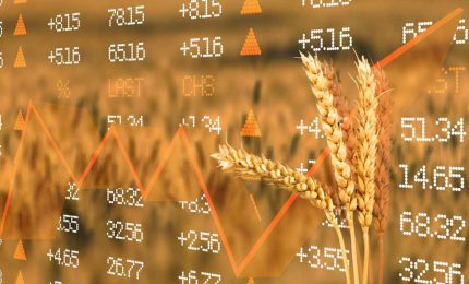 Prezzi del grano in aumento in tutto il mondo a causa dell'incertezza climatica. In Iraq si teme la carestia