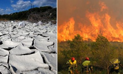 Danni irreversibili da siccit&agrave; al grano in Francia, un miliardo di euro di danni (ancora siccit&agrave;) nell'agricoltura del Nord Italia. E in Sicilia...