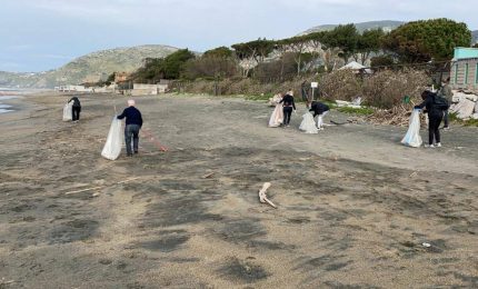 Appello del WWF: le spiagge vanno pulite manualmente con i rastrelli e non vanno spianate con i trattori!