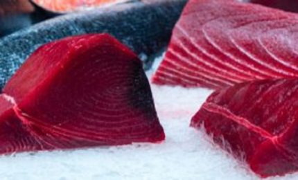 Con Maggio riecco la 'Tunnina'. Cos'&egrave; e come evitare la 'Sindrome sgombroide' osservando quattro semplici regole