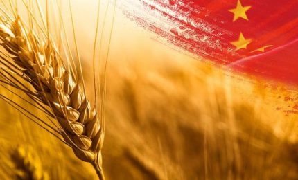 La Cina ha accumulato 140 milioni di tonnellate di grano, più di quanto ne ha stoccato il resto del mondo! Perché?