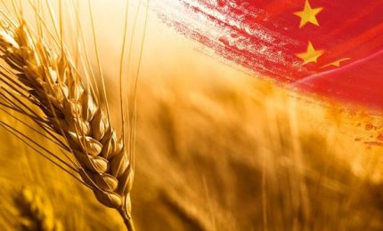 La Cina ha accumulato 140 milioni di tonnellate di grano, pi&ugrave; di quanto ne ha stoccato il resto del mondo! Perch&eacute;?