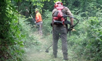 Enna, prevenzione incendi boschivi bloccata dalla mancanza di benzina. Elezioni siciliane: la parola a Miccichè e Salvini/ MATTINALE 678