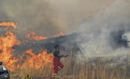 Incendi boschi della nostra Isola: dalla Regione siciliana solo chiacchiere. Parlano di tutto, tranne che degli operai forestali