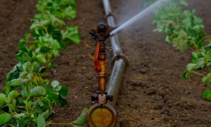 Il Governo siciliano scopre le reti irrigue-colabrodo. Dove sono stati in cinque anni presidente, assessori e dirigenti generali?