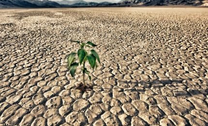 Prima il voto e poi l'acqua? Il 'codicillo malandrino' blocca le assunzioni nei Consorzi di Bonifica della Sicilia mentre infuria la siccità!/ MATTINALE 671