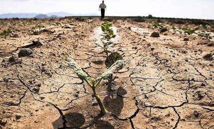 La scorsa settimana prezzi del grano gi&ugrave;. Siccit&agrave; nell'Europa occidentale e in Argentina. Bene la Russia, grande alluvione in Cina