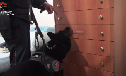 Operazione antidroga nel Catanese, 17 misure cautelari