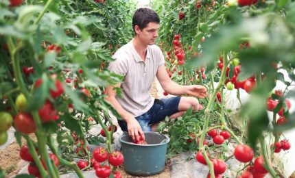 Agroalimentare, nel primo trimestre balzo Pil +6,2%