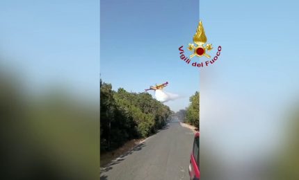 Incendio al Parco nazionale del Circeo,  rogo spento