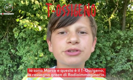 Cambiamento climatico, qual &egrave; la situazione attuale?