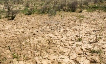 Agricoltori in rivolta: assemblea in Sicilia a Santa Caterina Villermosa e manifestazione di agricoltori pugliesi e lucani