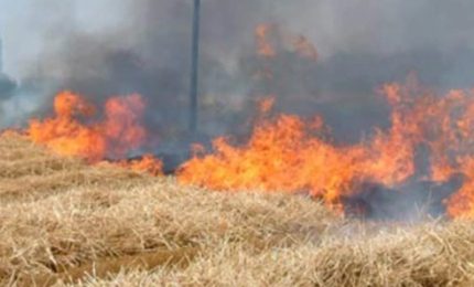 Le sterpaglie a fuoco attorno all'ospedale di Sciacca paradigma della Sicilia abbandonata di oggi dove tutti sinni stannu futtennu!