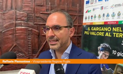 Puglia, dall'8 luglio i Mondiali di Orienteering sul Gargano