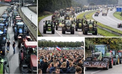 Il Governo olandese vuole eliminare gli allevamenti animali e getta nella disperazione migliaia di allevatori