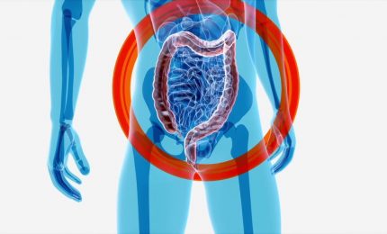 Intestino, l'importanza della variet&agrave; dei microrganismi