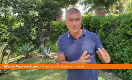 Pecoraro Scanio &ldquo;Da Calenda attacchi patetici al governo Prodi"