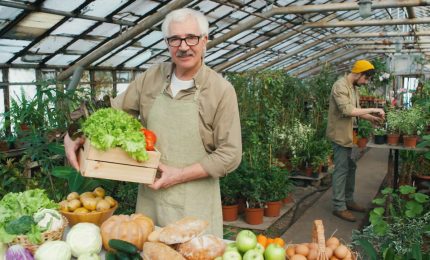 Il mercato della frutta sconta gli aumenti di energia e materie prime