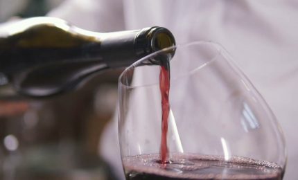 95 milioni per investimenti nella filiera del vino
