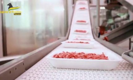 Gdf scopre a Pescara una maxi frode nel settore del commercio carni