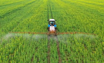 Bper Banca-Ismea, partnership per le imprese agricole e della pesca